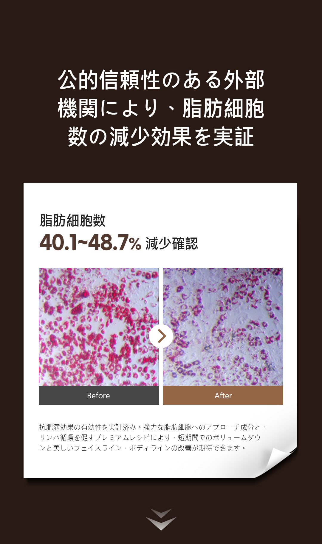 이미지 6
